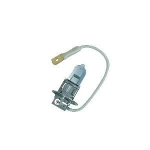 H3 Halogeen Lamp