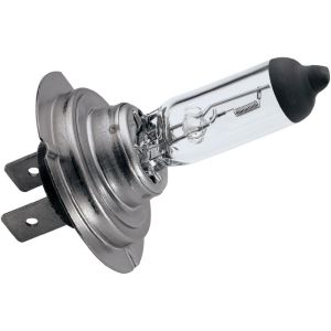 H7 Halogeen Lamp